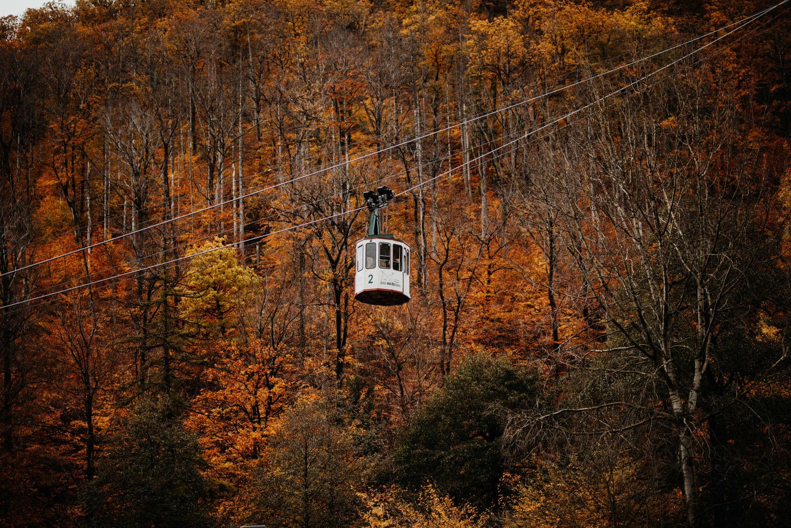 Inverno nell'Harz: sci, slittino e wellness da Bad Harzburg